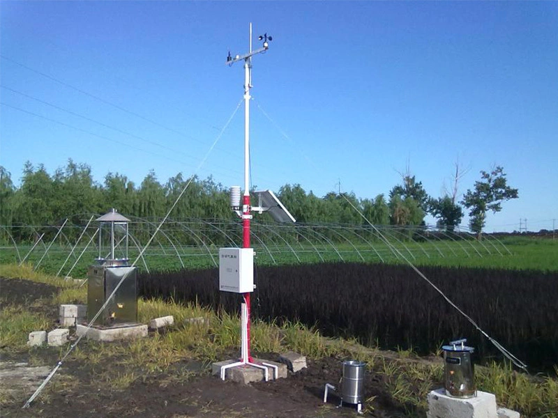 Rika professional soil temperature moisture sensor solution provider for soil monitoring-22