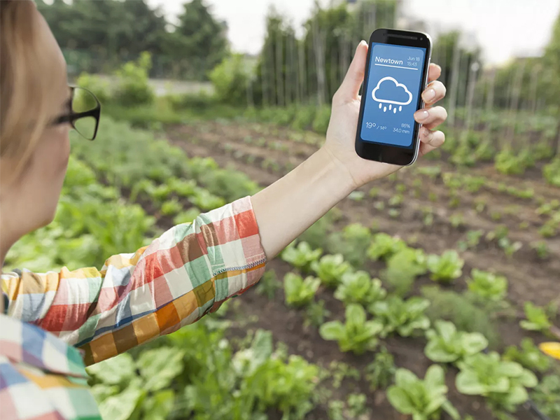 The Importance Of The Rikasensor Weather Station, Hunan Rika Electronic