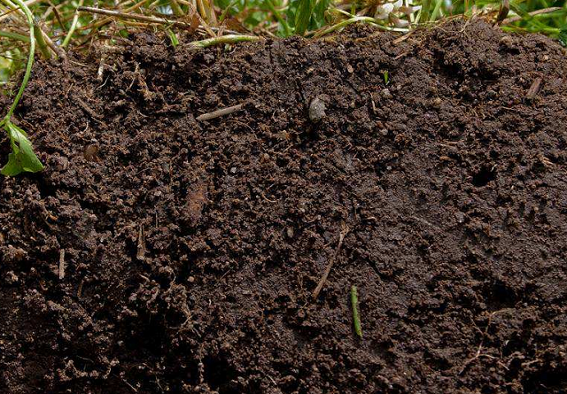 news-What is soil temperature and humidity status Soil moisture content measurement method, conduit 
