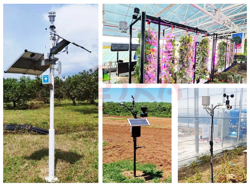 news-Revolutionizing Agriculture: The Role of Agricultural Sensors-Rika Sensors-img