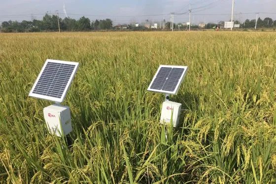 news-Rika Sensors-The Official Smart Agriculture Solution Is Here-img-3